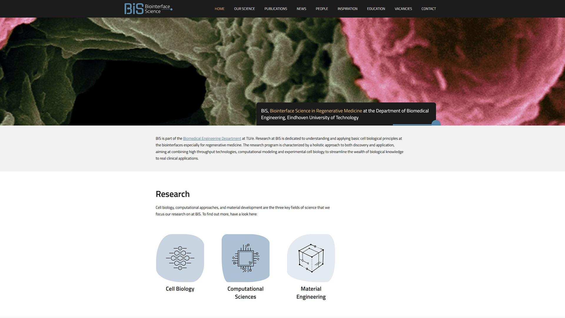 Websiteproject Biointerface Science